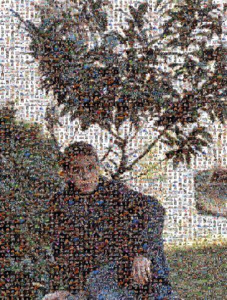Boy Under a Tree photo mosaic