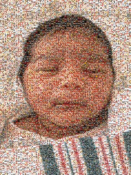 Beautiful Newborn photo mosaic