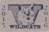 wildcats logos mascots text kids children schools portraits people