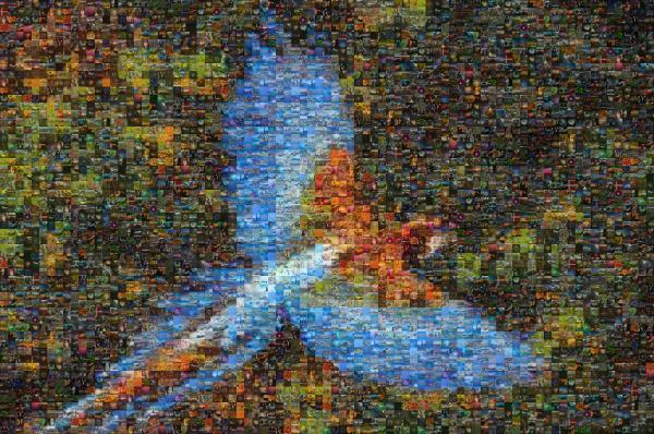 Tropical Bird photo mosaic