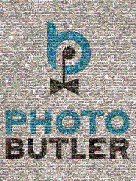 Photo Butler photo mosaic
