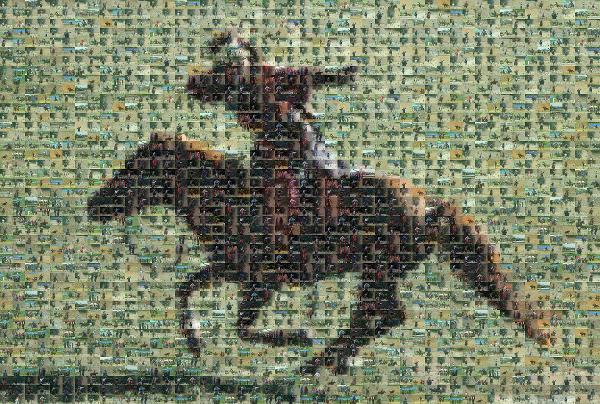 Horse and Rider photo mosaic