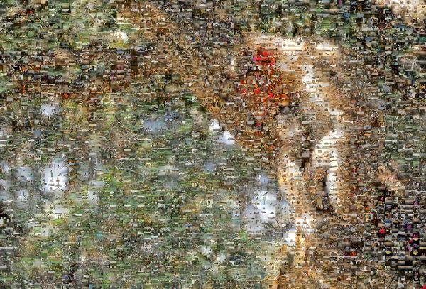 Monkey in a Tree photo mosaic
