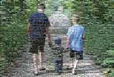 brothers siblings children young boys kids family love holding hands woods outdoors vacations nature walks trails paths