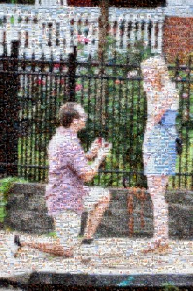 Proposal photo mosaic