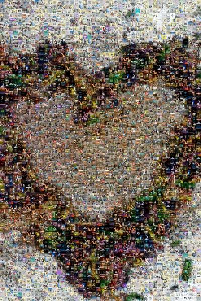 Heart Wreath photo mosaic