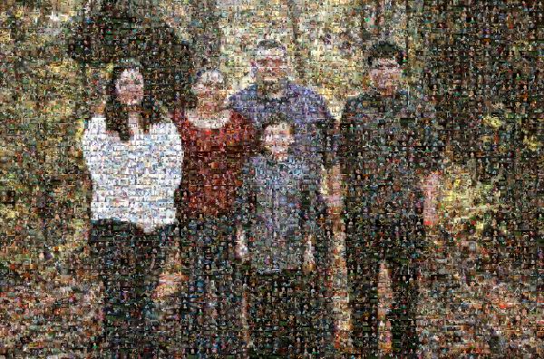 Family on a Nature Walk photo mosaic