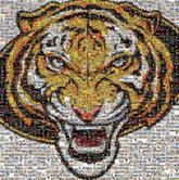 tiger animal illustration icon symbol mascot 