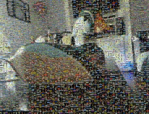 A Duck Phone photo mosaic