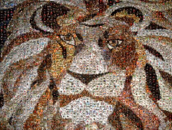 A Lion Quilt photo mosaic
