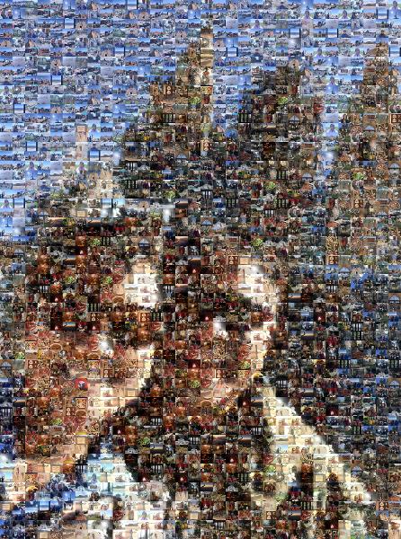 Sightseeing Selfie photo mosaic
