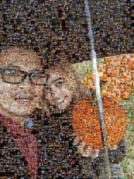 Rainy Day in the Pumpkin Patch photo mosaic