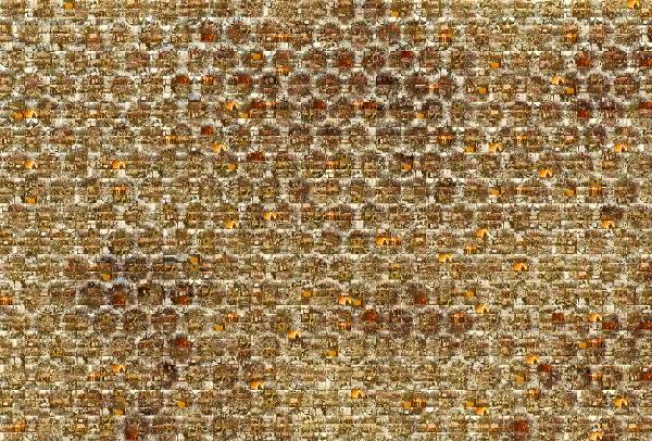 Honeycomb photo mosaic