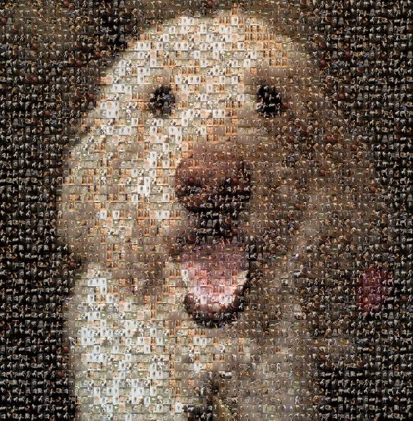 Adorable Pup photo mosaic