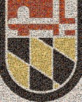 usg universities university logo education schools symbols icons crests shapes lines class community pride 