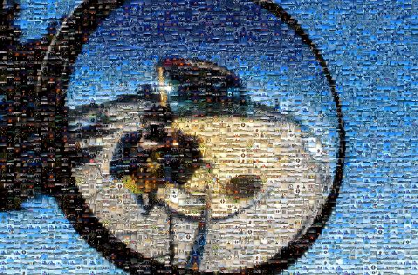 Fish Eye photo mosaic