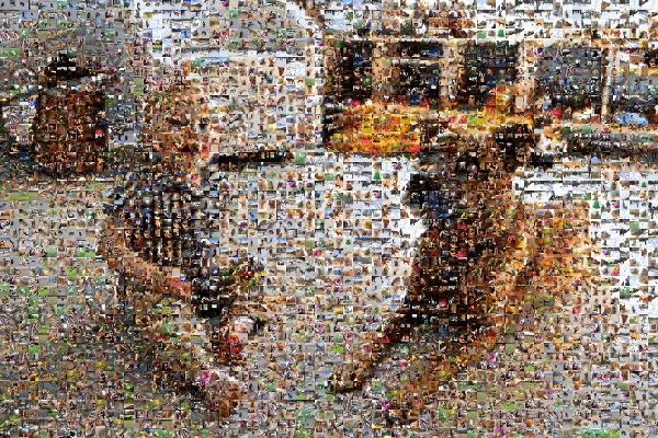 Baby's Best Friend photo mosaic