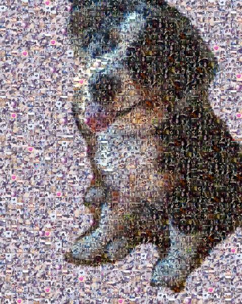 Adorable Puppy photo mosaic