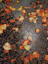 Still life photography Still life photography Desktop Wallpaper Autumn Leaf Photography Computer