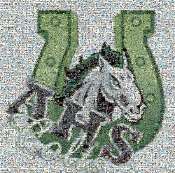 AHS Colts photo mosaic