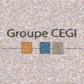 Groupe CEGI text words letters logos graphics teams coworkers employees community groups squares shapes lines