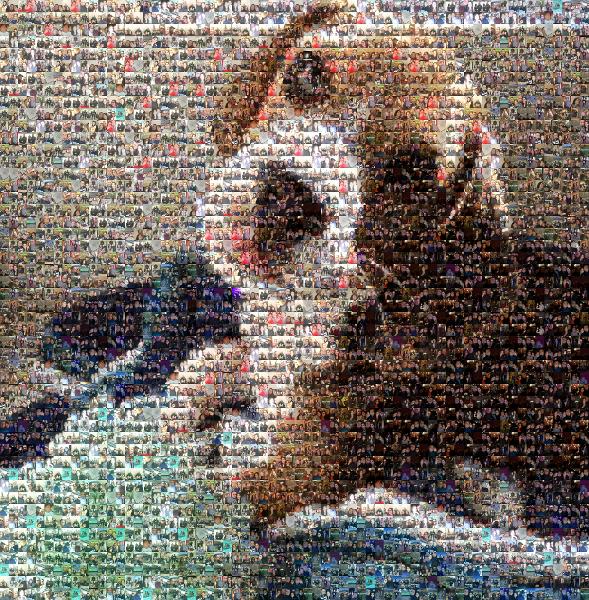 Puppy photo mosaic