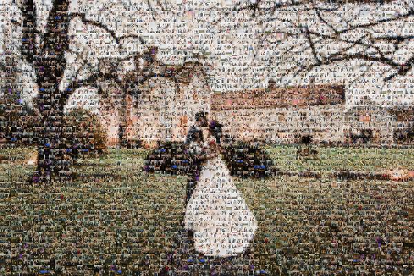 Husband and Wife photo mosaic