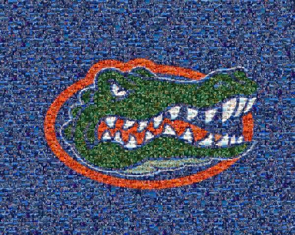 Florida Gators photo mosaic