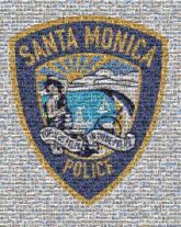 Logo Logo Emblem Law enforcement Police Security Emergency service Palm trees