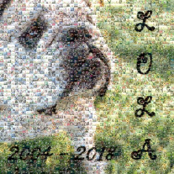 Lola the Bulldog photo mosaic