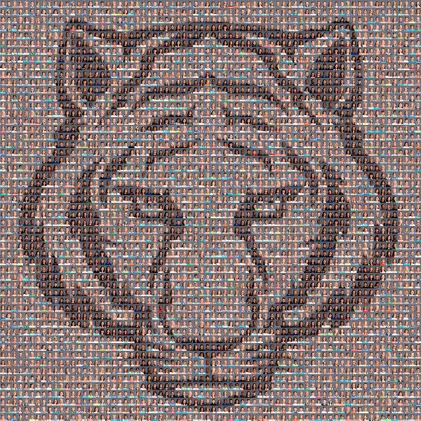 Tigers photo mosaic