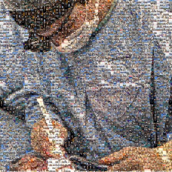 Surgeon photo mosaic