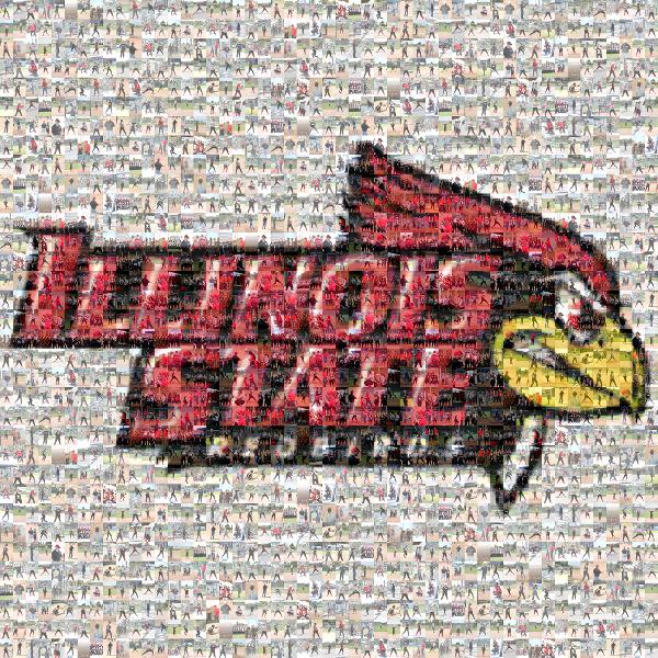 Illinois State Redbirds photo mosaic