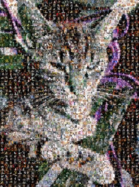 Cat photo mosaic