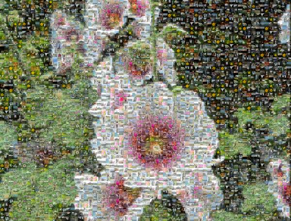 A String of Pretty Flowers photo mosaic