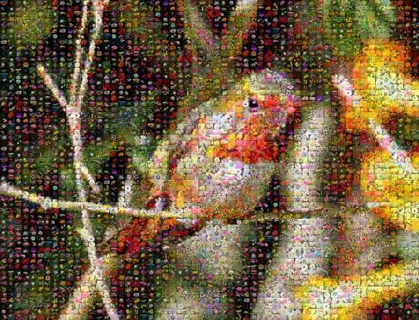 Humming Bird photo mosaic