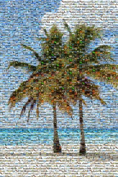 Palm Beach photo mosaic