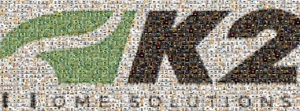 K2  photo mosaic
