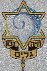 Tzofim 2018 stars symbols graphics banners organizations lines