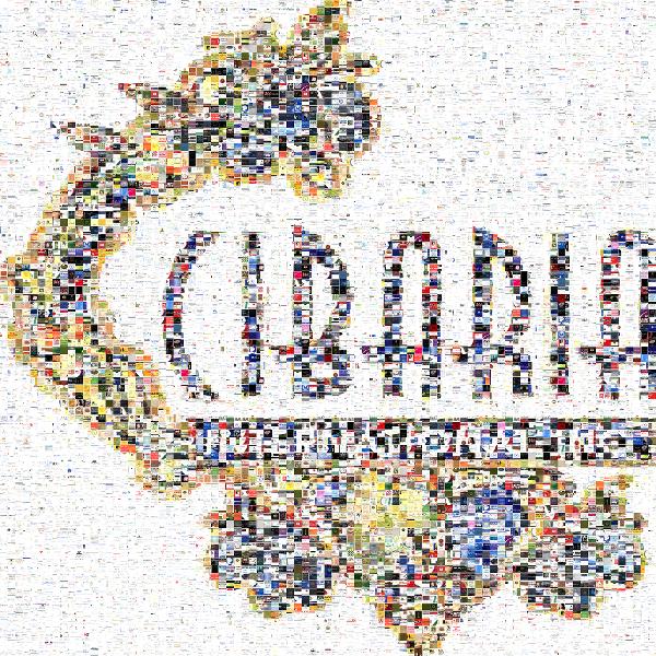 Cibaria photo mosaic