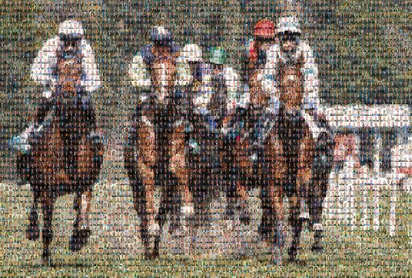 Horse Race photo mosaic