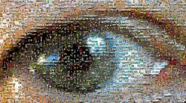 Eye  photo mosaic