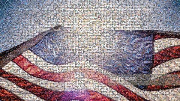 United States photo mosaic