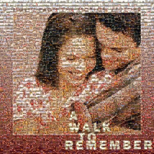 A Walk to Remember photo mosaic