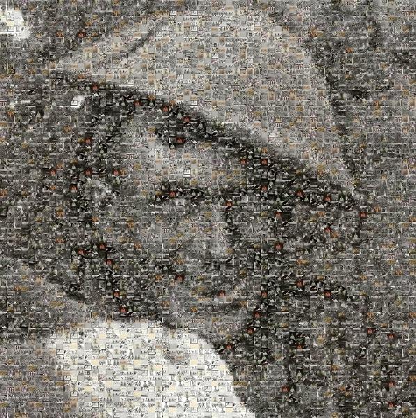 World War 1 photo mosaic