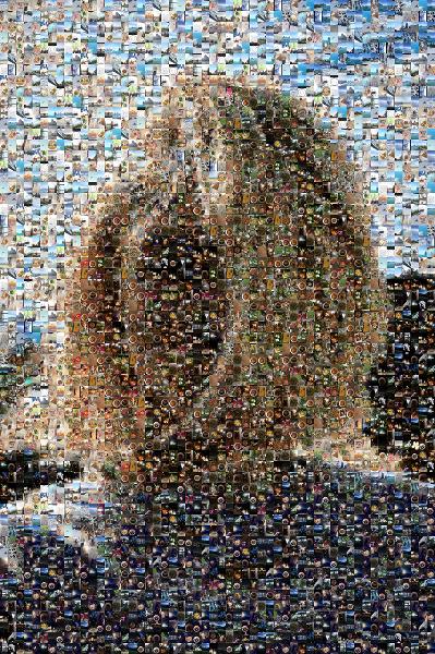 Seflie photo mosaic