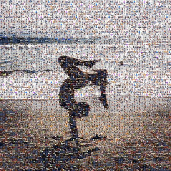 Beach Gymnastics photo mosaic