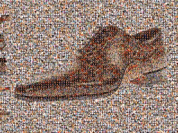 A Classic Loafer photo mosaic