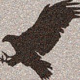 animals eagles mascots symbols black and white silhouettes wildlife