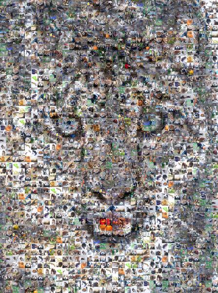 Snow Leopard photo mosaic